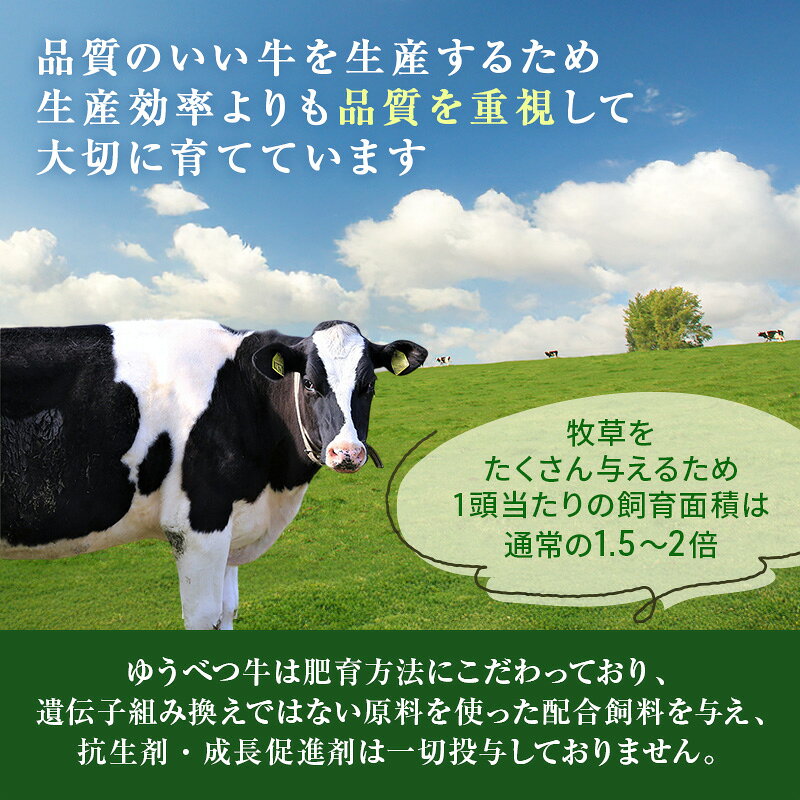 【ふるさと納税】北海道産 ゆうべつ牛 ステーキセット 約590g（サーロインステーキ3枚、リブロースステーキ1枚） サーロイン リブロース ステーキ肉 お肉 牛肉 赤身 冷凍 湧別牛 冷凍 国産 遺伝子 オホーツク 焼肉 バーベキュー f015598-yubetsu-10000091 北海道湧別町 サンプル画像3
