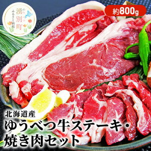 【ふるさと納税】北海道産　ゆうべつ牛ステーキ・焼き肉セット　約800g　【お肉・牛肉・ステーキ・焼肉...