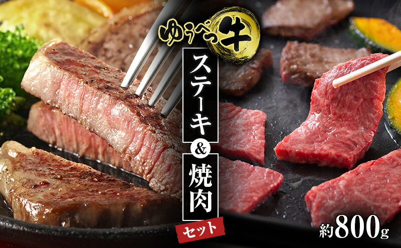 【ふるさと納税】北海道産 ゆうべつ牛 ステーキ・焼き肉セット B 約800g 赤身 牛肉 冷凍 湧別牛 冷凍 国産 遺伝子 オホーツク お肉 焼肉 バーベキュー