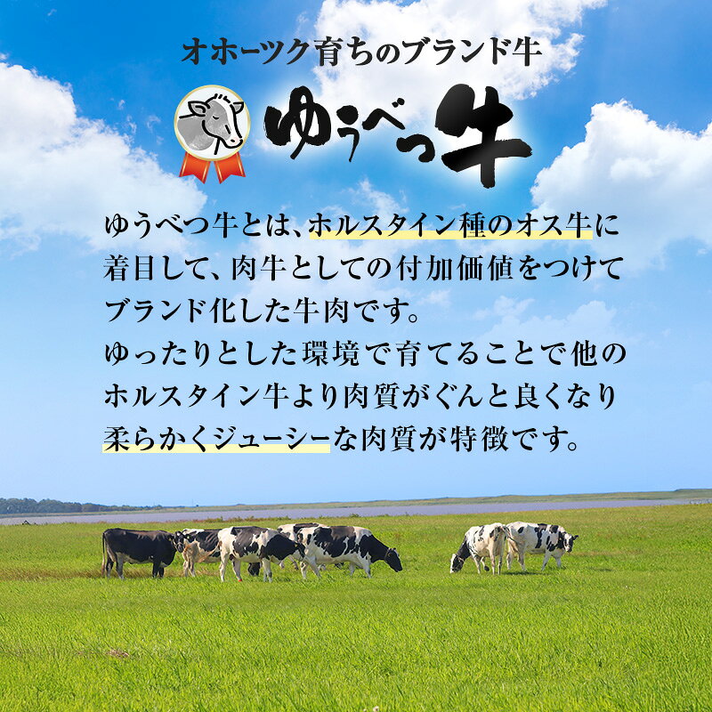 【ふるさと納税】北海道産 ゆうべつ牛 ステーキ・焼き肉セット B 約800g 赤身 牛肉 冷凍 湧別牛 冷凍 国産 遺伝子 オホーツク お肉 焼肉 バーベキュー