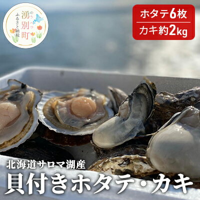[国内消費拡大求む]北海道サロマ湖産 貝付きホタテ6枚・カキ約2kg [魚貝類・帆立・ホタテ・貝付きホタテ・ほたて・魚介類] お届け:2024年11月〜2025年1月末頃まで