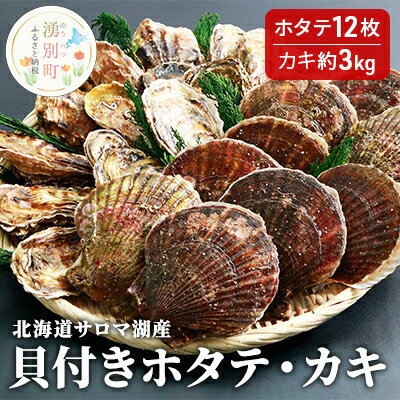 【ふるさと納税】【国内消費拡大求む】北海道サロマ湖産　貝付き