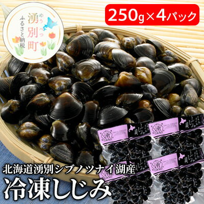 [国内消費拡大求む]北海道湧別シブノツナイ湖産 冷凍しじみ250g×4パック [シジミ・しじみ・冷凍しじみ・貝]