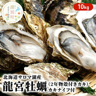 【国内消費拡大求む】 先行予約 北海道 サロマ湖産 龍宮牡蠣 10kg（ 2年物 殻付き カキ ）カキナイフ付 牡蠣 かき 海鮮 魚介 国産 貝付き 生牡蠣 生食 焼き牡蠣 蒸し牡蠣 冷蔵 産地直送 オホーツク　【 魚貝類 生牡蠣 かき 】　お届け：2024年11月～12月10日