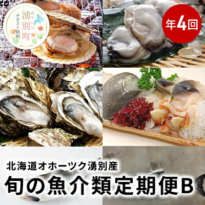 【ふるさと納税】【国内消費拡大求む】北海道オホーツク湧別産　旬の魚介類　定期便B　定期便・ 魚貝類 生牡蠣 かき 帆立