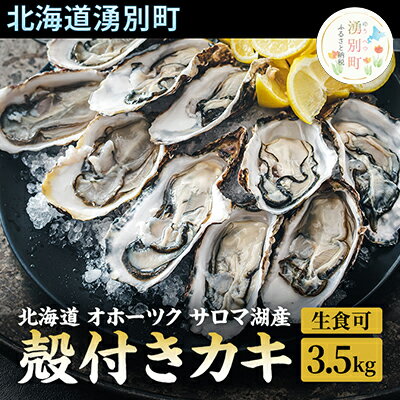 44位! 口コミ数「0件」評価「0」先行予約 【国内消費拡大求む】 北海道 オホーツク サロマ湖産 殻付き カキ 生食可 3.5kg 牡蠣職人厳選 牡蠣 国産 貝付き　【 魚貝･･･ 