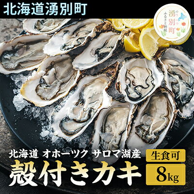 【ふるさと納税】先行予約 【国内消費拡大求む】 北海道 オホーツク サロマ湖産 殻付き カキ 生食可 8kg 牡蠣職人厳選 牡蠣 国産 貝付き　【 魚貝類 生牡蠣 ノロウイルス検査実施 海のミルク 海鮮 海の幸 つまみ 晩酌 お酒のあて 】　お届け：2024年11月～2025年1月末まで