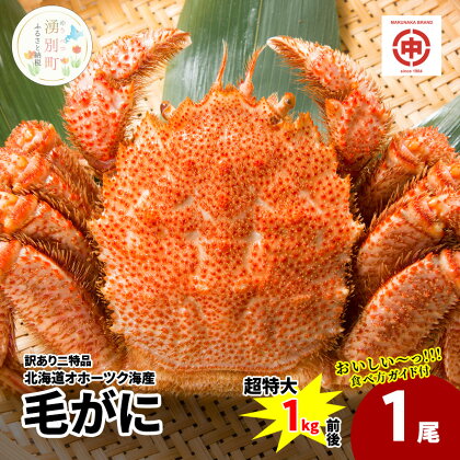 訳あり二特品 北海道 オホーツク産 毛ガニ 1kg前後×1尾 蟹 かに カニ 毛蟹 海鮮 魚介 国産 冷凍 産地直送　【 カニ かに 蟹 毛蟹 訳アリ 海鮮 1kg 】　お届け：2024年4月下旬より出荷