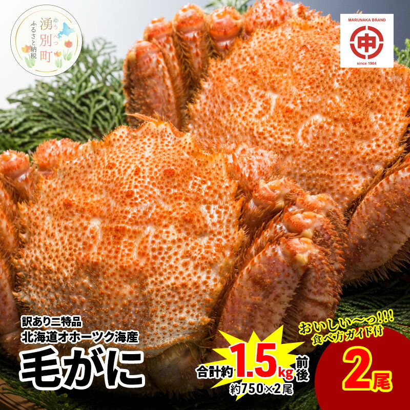 yӂ邳Ɣ[Łz󂠂i kC Iz[cNY уKj 750gO~2 I  Jj ъI CN  Y Ⓚ Yn@y Jj  I ъI A CN 1.5kg z@͂F2024N4{o