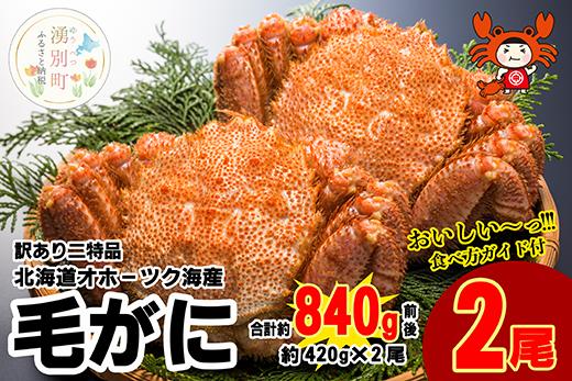 【ふるさと納税】訳あり二特品 北海道 オホーツク産 毛ガニ 420g前後×2尾 蟹 かに カニ 毛蟹 海鮮 魚介 国産 冷凍 産地直送　【 カニ かに 蟹 毛蟹 訳アリ 海鮮 2尾 840g 】