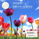 【ふるさと納税】北海道湧別町 寄附のみの応援受付 10,000円コース(返礼品なし 寄附のみ 10000円)