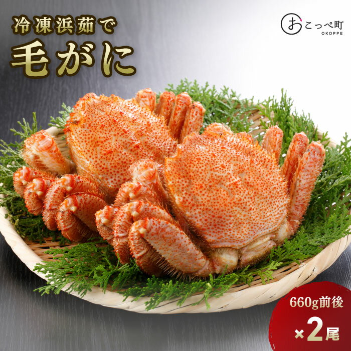 【ふるさと納税】【 大きいサイズ 660g前後 】 冷凍浜茹で毛がに『2尾セット』
