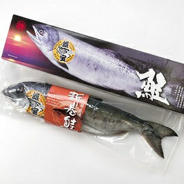北海道雄武町産 秋鮭「雄宝」(新巻)(冷凍) 2.5kg