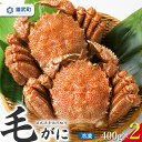 【ふるさと納税】毛がに（冷凍）(400g×2)雄武漁業協同組合 毛蟹 毛がに 毛ガニ 蟹 かに カニ 冷凍 400g ふるさと納税 北海道 雄武町 雄武【07114】