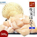 【ふるさと納税】【関東限定!】北海道雄武町産 生玉ほたて500g塩水パック(冷蔵)|関東限定 生玉ホタテ 生ホタテ 大粒 ホタテ 帆立 ほたて 新鮮 500g 生 冷蔵 塩水パック オホーツク 北海道 雄武町 雄武 刺身 魚貝 魚介 海鮮【0712502】