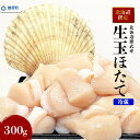 【ふるさと納税】【北海道限定!生ほたて】《期間限定》北海道雄武産 生玉ほたて 300g 塩水パック(冷蔵) |北海道限定 生玉ホタテ 生ホタテ 大粒 ホタテ 帆立 ほたて 新鮮 300g 生 冷蔵 塩水パック オホーツク 北海道 雄武町 雄武 刺身 魚【0715001】