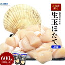 【ふるさと納税】北海道限定 生ほたて 期間限定 北海道雄武産 生玉ほたて 塩水パック 冷蔵 | 生ホタテ 新鮮 ホタテ 帆立 ほたて 300g×2 大粒 生 冷蔵 塩水パック 塩水 未冷凍 オホーツク 刺身 魚介 海産物 魚介類 ふるさと納税 雄武町 雄武漁業協同組合 北海道【0715201】