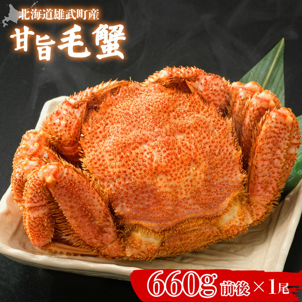 【ふるさと納税】【北海道雄武町産】やわらか殻の甘旨毛蟹 660g前後1尾 | 毛ガニ カニ かに 蟹 殻付き 浜茹で ジューシー 海産物 海鮮 冷蔵 鮮度直送 ...