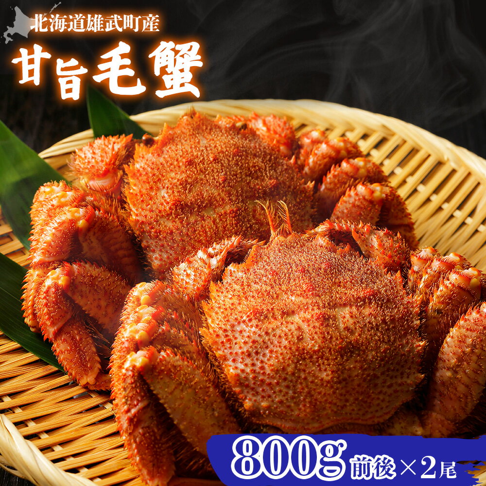 【ふるさと納税】【北海道雄武町産】やわらか殻の甘旨毛蟹 800g前後×2尾 | 毛ガニ カニ かに 蟹 殻付き 浜茹で ジューシー 海産物 海鮮 冷蔵 鮮度直送...