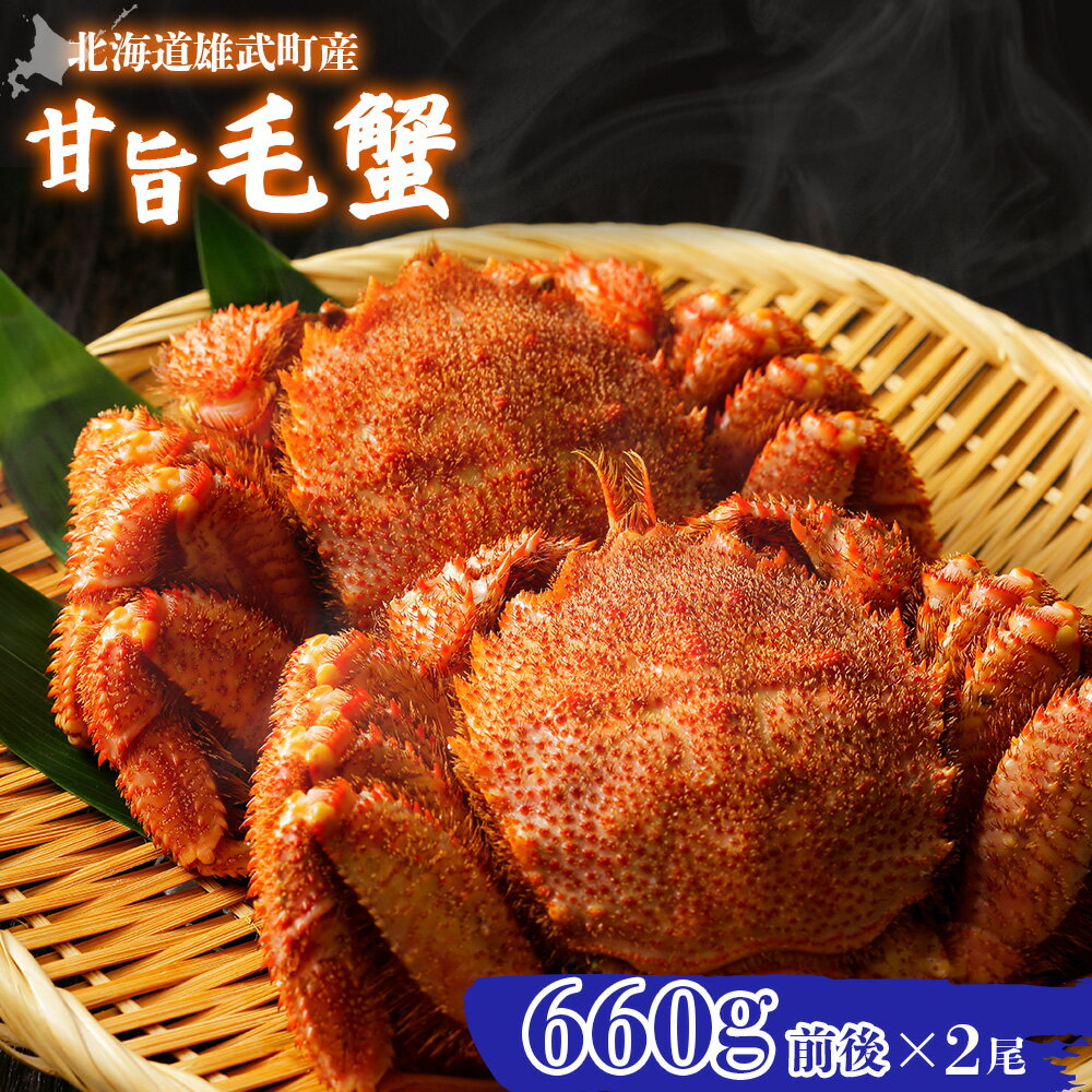 【ふるさと納税】【北海道雄武町産】やわらか殻の甘旨毛蟹 660g前後×2尾 | 毛ガニ カニ かに 蟹 殻付き..
