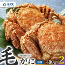 12位! 口コミ数「5件」評価「5」北海道雄武町産　毛がに(冷凍)400g×2【12401】