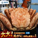 希少！大大毛ガニ！ 雄武町は、オホーツク海に面した北海道の中でも海産物の宝庫と言われる素晴らしい町です。流氷が運んでくるミネラル豊富な栄養の下で育つオホーツク海の毛蟹は、雄武町が誇る自慢の逸品です。朝、漁獲されたばかりの新鮮な毛蟹は、職人が塩加減抜群にゆで上げ、美味しさをそのまま閉じ込め急速冷凍しています。660g前後の大大毛蟹です。食べごたえも美味しさも大満足！身入り抜群で、美味しい蟹ミソも十分お楽しみいただけます。是非、オホーツク雄武町が誇る「極上・大大・毛がに」をご堪能ください。 【生産者からのメッセージ】 雄武町を応援してくださる方々に感謝の気持ちをこめまして、今回特別にご用意いたしました。 名称 【ふるさと納税】大大!毛がに（冷凍）北海道雄武町産(660g前後×1)【12403】 原材料名 毛ガニ、塩 産地名 雄武町 内容量 毛がに660g前後×1 期限表示 製造日から2年 保存方法 冷凍保存 販売者 雄武水産加工業協同組合 申込可能な期間 通年お申込みを受付しております。※在庫がなくなり次第終了となります。 発送可能な時期 入金の確認後、翌営業日から2～3週間程で発送予定です。（状況により発送が前後する場合がございます。）※配送日指定、発送の時期調整、不在日の対応等一切出来かねます。※備考欄への記入は反映されません。 注意事項 ※冷蔵庫でゆっくり解凍して、お早めにお召し上がりください。※配送日指定はできかねます。ご了承ください。※画像はイメージです。※着日・着曜日のご指定はお受けできません。 ・ふるさと納税よくある質問はこちら ・寄付申込みのキャンセル、返礼品の変更・返品はできません。あらかじめご了承ください。 関連キーワード -【ふるさと納税】大大!毛がに（冷凍）北海道雄武町産(660g前後×1)【12403】 　　 　　 　　 　　 　　 　　 　　 　　 　　 ▼蟹の関連商品はこちら▼ 希少！大大毛ガニ！ 雄武町は、オホーツク海に面した北海道の中でも海産物の宝庫と言われる素晴らしい町です。流氷が運んでくるミネラル豊富な栄養の下で育つオホーツク海の毛蟹は、雄武町が誇る自慢の逸品です。朝、漁獲されたばかりの新鮮な毛蟹は、職人が塩加減抜群にゆで上げ、美味しさをそのまま閉じ込め急速冷凍しています。660g前後の大大毛蟹です。食べごたえも美味しさも大満足！身入り抜群で、美味しい蟹ミソも十分お楽しみいただけます。是非、オホーツク雄武町が誇る「極上・大大・毛がに」をご堪能ください。 「ふるさと納税」寄附金は、下記の事業を推進する資金として活用してまいります。 寄附を希望される皆さまの想いでお選びください。 (1) ○躍動感あふれる産業のまち・雄武〜地域産業の振興と雇用の創出〜○ (2) ○安心感の持てる福祉のまち・雄武〜保健・医療・福祉の充実〜○ (3) ○達成感から学ぶ教育のまち・雄武〜教育文化の振興と拠点づくり〜○ (4) ○快適感を満たす環境のまち・雄武〜生活環境・生活基盤の充実〜○ (5) ○連帯感を高める協働のまち・雄武〜協働によるまちづくりの推進〜○ (6) ○寄附の指定はしない○ 特段のご希望がなければ、町政全般に活用いたします。 入金確認後、注文内容確認画面の【注文者情報】に記載の住所にお送りいたします。 発送の時期は、寄附確認後2週間以内を目途に、お礼の特産品とは別にお送りいたします。