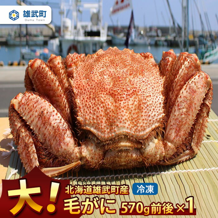 オホーツク産 大 毛ガニ 冷凍 570g かに 蟹ミソ かにみそ 焼きがに かに鍋 北海道 ふるさと納税 雄武 雄武町[12402]