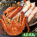 【ふるさと納税】北海道オホーツク産 冷タラバガニ姿 4.2~4.3kg | 北海道産 オホーツク産 オホーツク オホーツク産 オホーツク海産 タラバガニ タラバ カニ かに 蟹 冷凍 ギフト 贈り物 お取り寄せ 北海道 雄武町 雄武【12415】