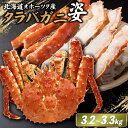 【ふるさと納税】北海道オホーツク産 冷タラバガニ姿 3.2~3.3kg | 北海道産 オホーツク産 オホーツク オホーツク産 オホーツク海産 タラバガニ タラバ カニ かに 蟹 冷凍 ギフト 贈り物 お取り寄せ 北海道 雄武町 雄武【12420】