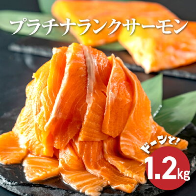 楽天ふるさと納税　【ふるさと納税】プラチナランクサーモン　小分け1.2kg サーモン トラウトサーモン さけ サケ 鮭 さーもん サーモン カルパッチョ ムニエル 真空パック 小分け 生食可 刺身 冷凍 魚 海鮮 海鮮食品 魚介類 魚貝 魚 ふるさと納税 北海道 雄武町 雄武【12342】