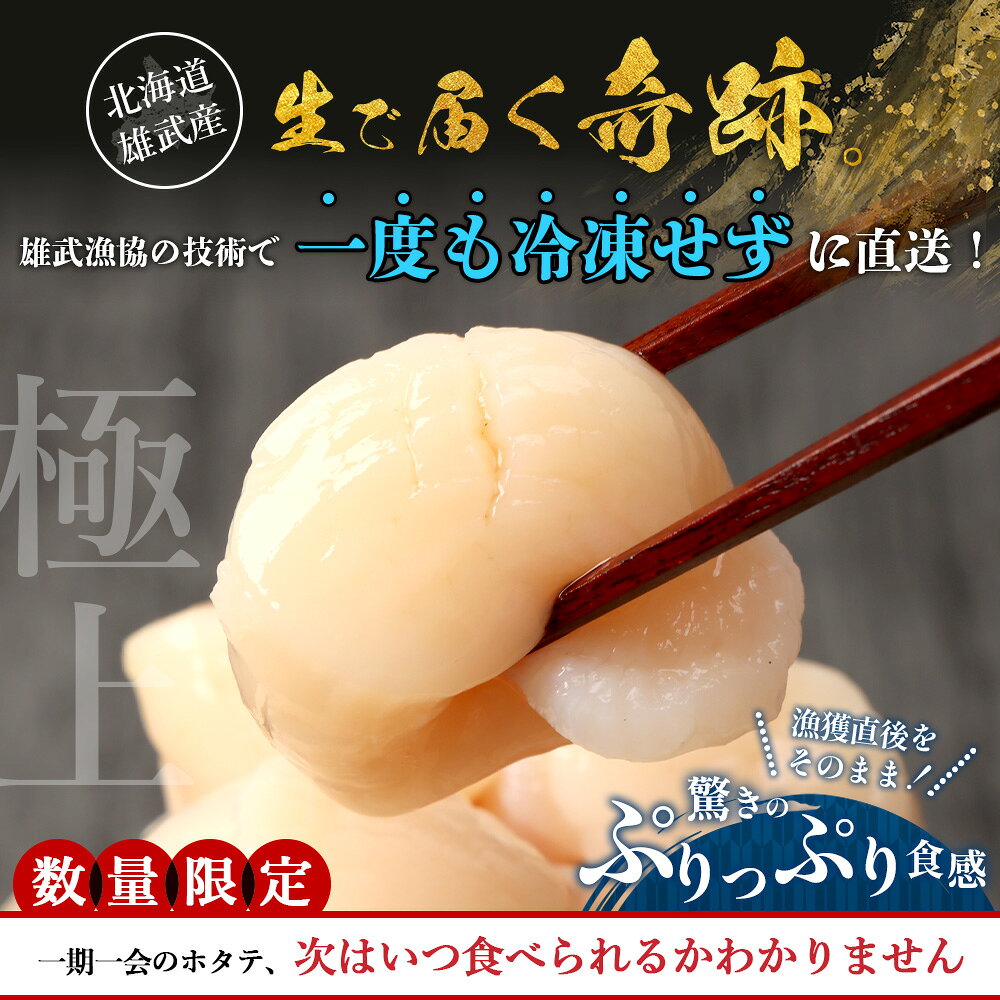 【ふるさと納税】【選べる内容量】【関東限定！生ほたて】 《期間限定》北海道雄武産 生玉ほたて塩水パック（冷蔵）｜関東限定 生ホタテ 新鮮 ホタテ 帆立 ほたて 大粒 生 冷蔵 塩水パック 塩水 未冷凍 オホーツク 刺身 魚介 海産物 魚介類 雄武漁業協同組合 北海道 雄武町