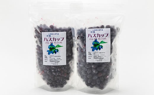 【ふるさと納税】 【先行受付 R6年7月中旬頃発送予定】冷凍ハスカップ500g×2パック ふるさと納税 ハスカップ 果実 果物 フルーツ ヨーグルト ジャム スムージー 冷凍 北海道 大空町 送料無料 OSO001