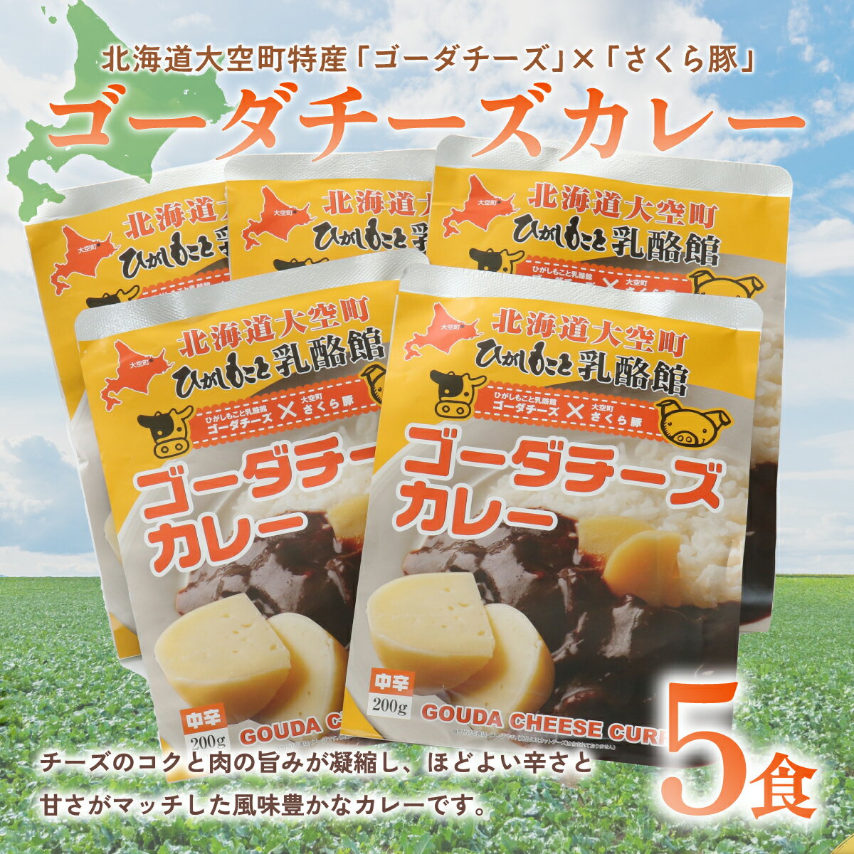 ゴーダチーズカレー200g×5食 ふるさと納税 カレー カレーライス ご飯 チーズ ゴーダチーズ チーズカレー レトルト 北海道 大空町 送料無料 OSA017