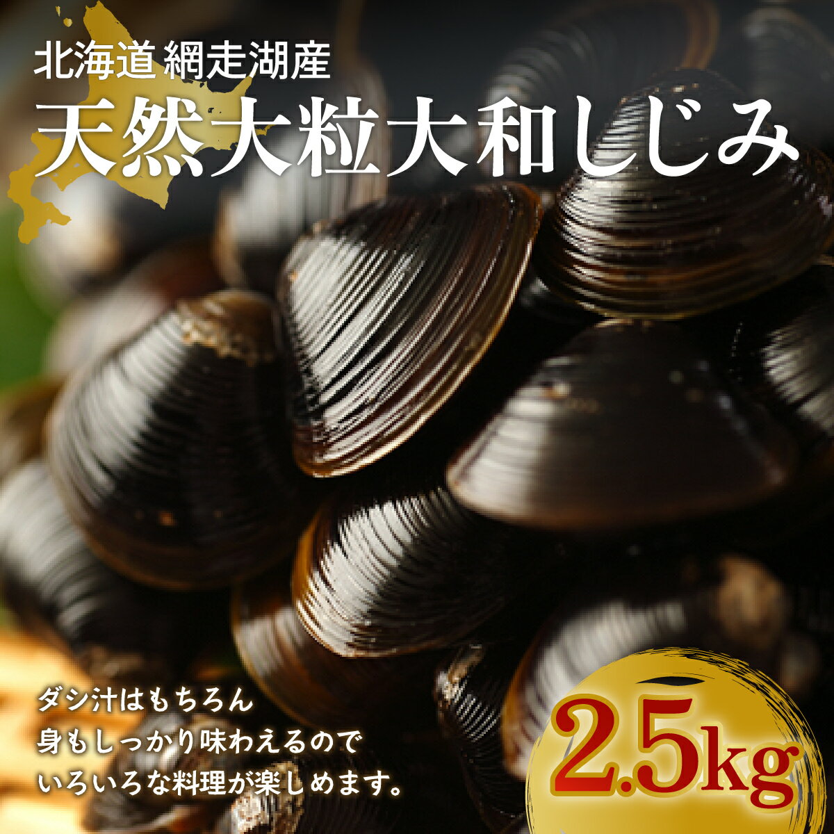 2位! 口コミ数「1件」評価「4」 厳選！網走湖産大粒天然大和しじみ2.5kg 【 ふるさと納税 人気 おすすめ ランキング しじみ シジミ 蜆 貝 しじみ貝 シジミ貝 蜆貝･･･ 