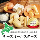 【ふるさと納税】 チーズオールスターズ ふるさと納税 チーズ 乳製品 カマンベール チェダー ゴーダ スモーク モッツァレラ セット 詰..