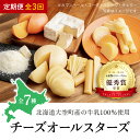 【ふるさと納税】 チーズオールスターズ定期便全3回 ふるさと納税 チーズ 乳製品 カマンベール チェダー ゴーダ スモーク モッツァレラ セット 詰合せ 定期配送 定期便 北海道 大空町 送料無料 O･･･