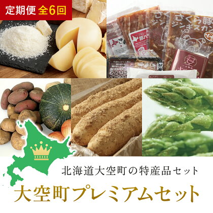 大空町プレミアムセット全6回 ふるさと納税 チーズ 乳製品 カマンベール チェダー ゴーダ スモーク モッツァレラ セット 詰合せ 定期配送 定期便 北海道 大空町 送料無料 OSA025