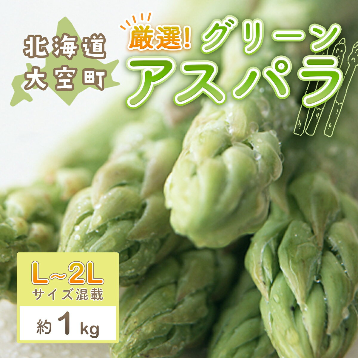 【ふるさと納税】 【先行受付】厳選!グリーンアスパラ約1kg（L～2Lサイズ混載） ふるさと納税 アスパラ アスパラガス グリーンアスパラ 春野菜 野菜 旬 北海道 大空町 送料無料 OSA014