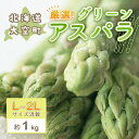 15位! 口コミ数「0件」評価「0」 【先行受付】厳選!グリーンアスパラ約1kg（L～2Lサイズ混載） ふるさと納税 アスパラ アスパラガス グリーンアスパラ 春野菜 野菜 旬･･･ 