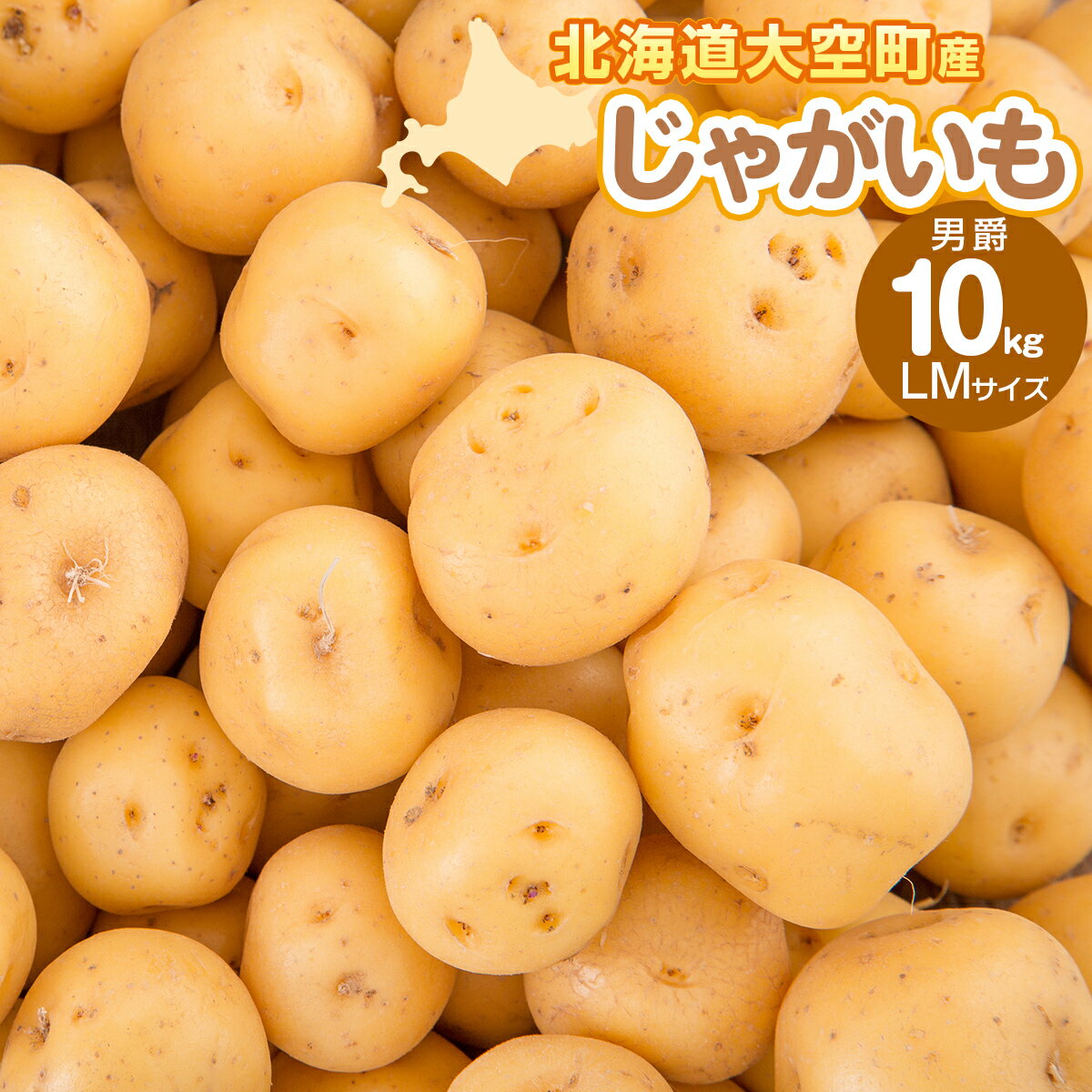 【ふるさと納税】じゃがいも(男爵) LMサイズ 10kg 大空町産【 ふるさと納税 人気 おすすめ ランキング じゃがいも ジャガイモ いも 芋 男爵 10kg LM サイズ カレー 北海道産 野菜 旬 北海道 大空町 送料無料 】OSR012のサムネイル