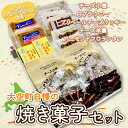  大空町自慢の焼き菓子セット ふるさと納税 クッキー 羊羹 羊かん アーモンドフロランタン チーズ 焼き菓子 洋菓子 お菓子 スイーツ セット ギフト 詰合せ 北海道 大空町 送料無料 OSC002