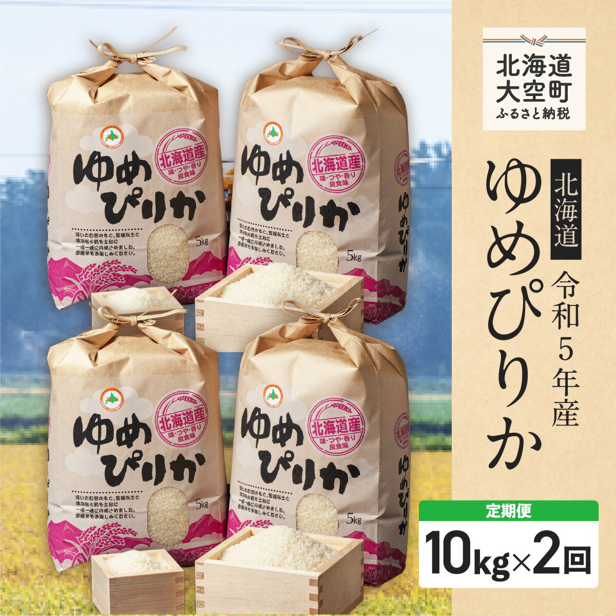 【ふるさと納税】【先行予約令和5年産】 特別栽培米北海道産ゆめぴりか10kg[5kg...