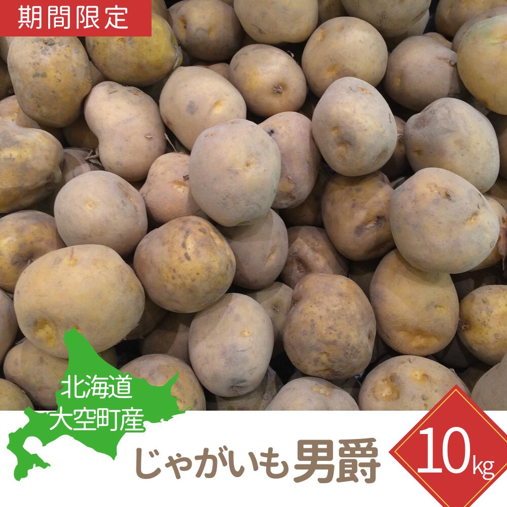 【期間限定】北海道大空町産じゃがいも（男爵）10kg【ふるさと納税 人気 おすすめ ランキング じゃがいも ジャガイモ いも 芋 男爵 10kg カレー 北海道産 野菜 旬 北海道 大空町 送料無料】OSA036