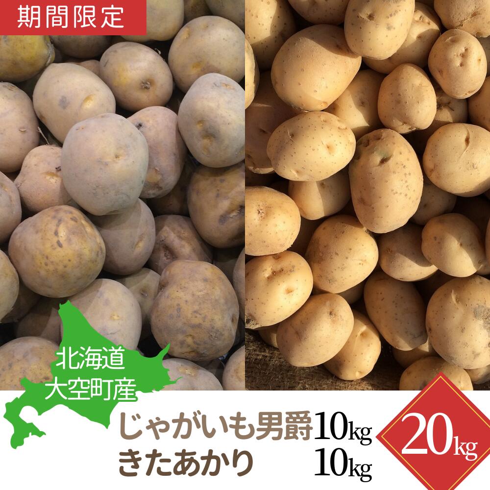 【期間限定】北海道大空町産じゃがいも20kg 【 ふるさと納税 人気 おすすめ ランキング じゃがいも ジャガイモ いも 芋 男爵 きたあかり カレー 北海道産 野菜 旬 北海道 大空町 送料無料 】 OSA041