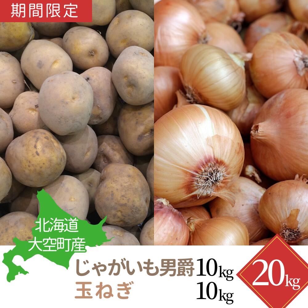 【期間限定】北海道大空町産じゃがいも（男爵）10kg・玉ねぎ10kg 計20kg【 ふるさと納税 人気 おすすめ ランキング じゃがいも ジャガイモ いも 芋 男爵 たまねぎ 玉ねぎ 甘い カレー 北海道産 野菜 旬 北海道 大空町 送料無料 】OSA043