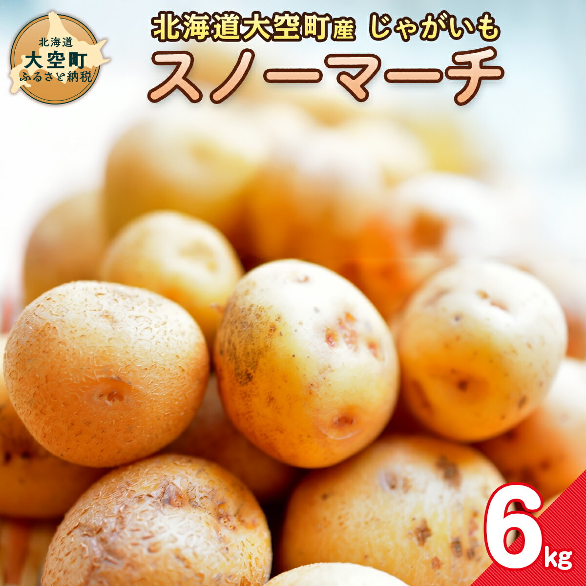 【ふるさと納税】【期間限定】北海道大空町産じゃがいも（スノーマーチ）6kg 【 ふるさと納税 人気 おすすめ ランキング じゃがいも ジャガイモ いも 芋 スノーマーチ カレー 北海道産 野菜 旬 北海道 大空町 送料無料 】 OSA047