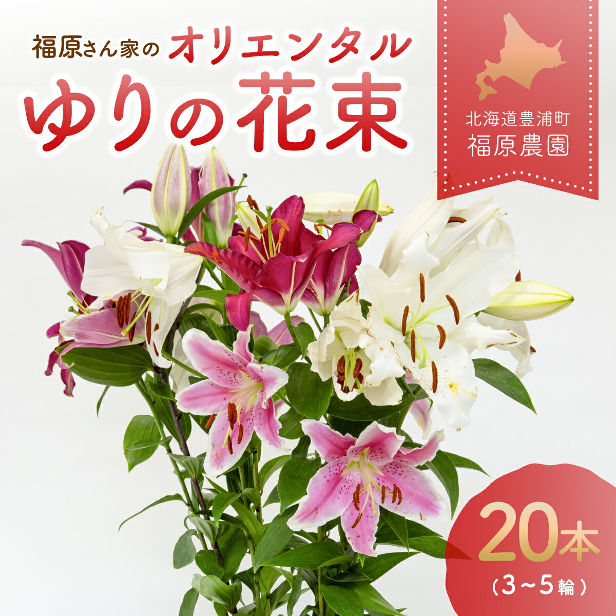 【ふるさと納税】福原さん家のオリエンタルゆりの花束 20本（3～5輪） 【 ふるさと納税 人気 おすすめ ランキング 花 ゆり ユリ 花束 プレゼント 記念日 ギフト 贈答 母の日 20本 北海道 豊浦町 送料無料 】 TYUAB004