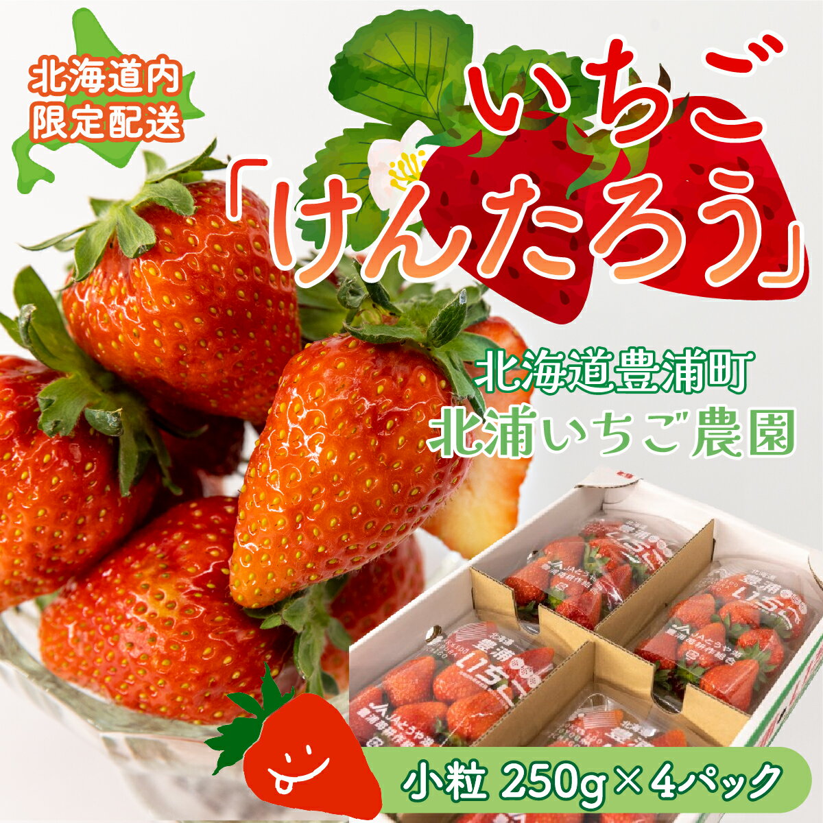 [北海道内限定配送]いちご「けんたろう」 小粒 250g×4パック ふるさと納税 人気 おすすめ ランキング 果物 いちごイチゴ 苺 国産いちご 国産苺 けんたろう セット おいしい 美味しい 甘い 北海道 豊浦町 送料無料