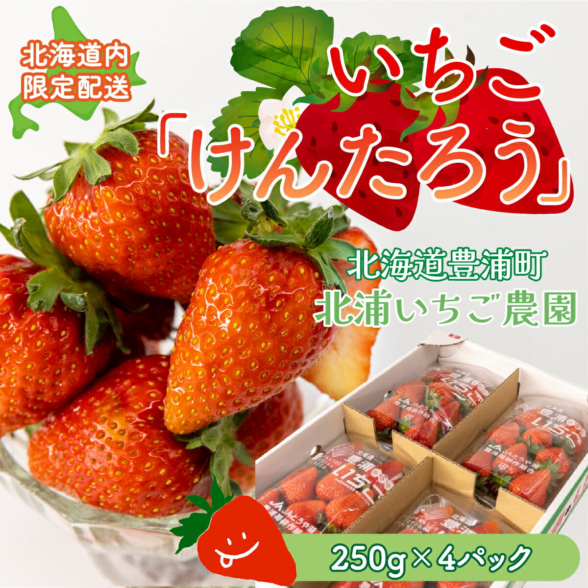 【ふるさと納税】【北海道内限定配送】いちご「けんたろう」250g×4パック ふるさと納税 人気 おすすめ ランキング 果物 いちごイチゴ 苺 国産いちご 国産苺 けんたろう セット おいしい 美味しい 甘い 北海道 豊浦町 送料無料 TYUAC004