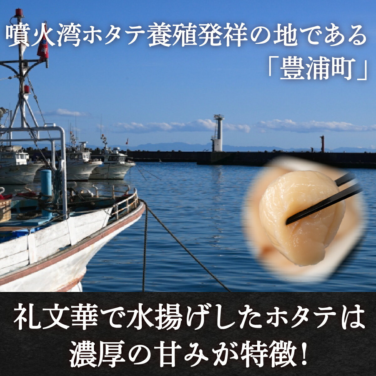 【ふるさと納税】ホタテ 北海道 豊浦 噴火湾 礼文華 約500g 帆立 貝柱 2年貝 【 ふるさと納税 人気 おすすめ ランキング 魚介類 貝 ほたて 帆立 ホタテ 帆立貝柱 礼文華 玉冷 刺身 大粒 肉厚おいしい 美味しい 海鮮 バーベキュー BBQ 北海道 豊浦町 送料無料 】 TYUAD002